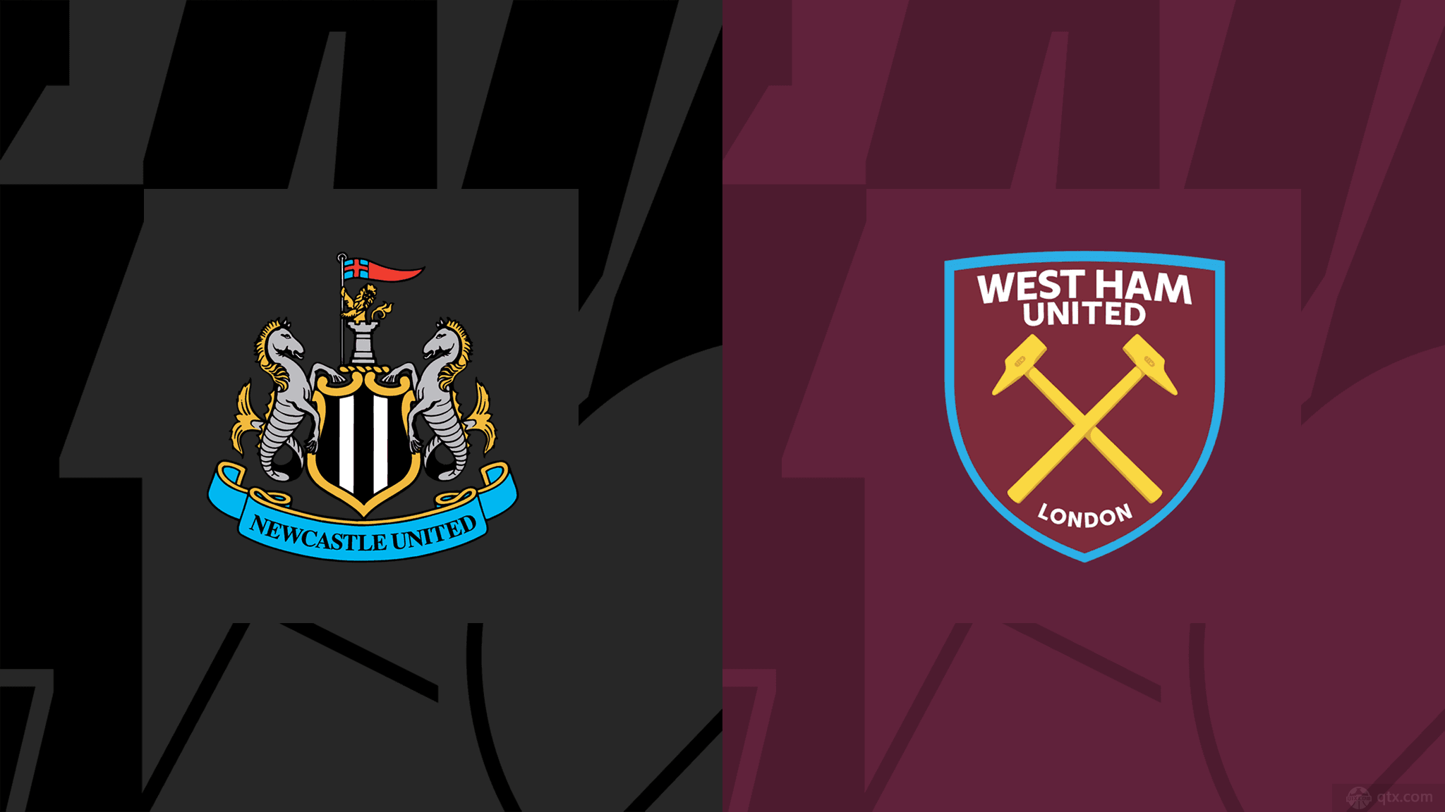 我们展示了 我们展示了