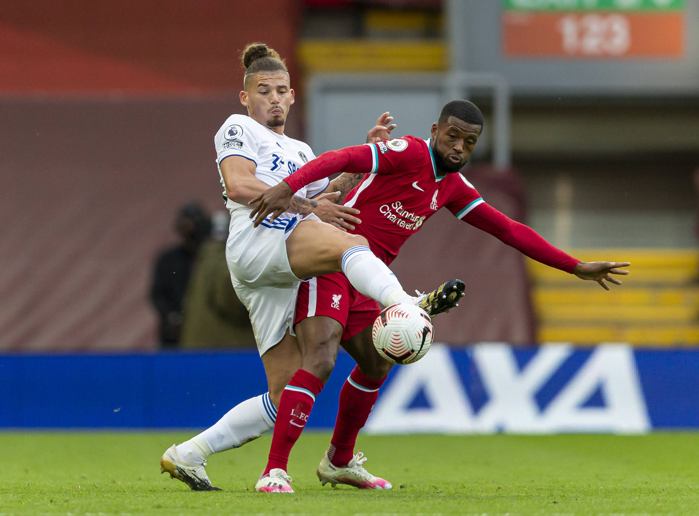 球圈内引起 球圈内引起